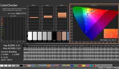 CalMAN: ColorChecker (kalibrowany)