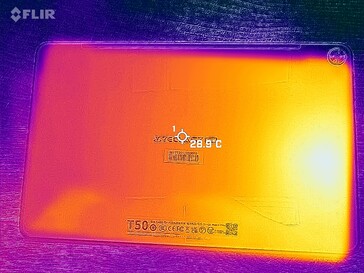 Heatmap Strona tylna