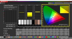 CalMAN ColorChecker (profil: sRGB, docelowa przestrzeń kolorów: sRGB)