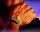Oczekuje się, że firma Garmin wkrótce wprowadzi na rynek alternatywę dla prezentowanego tutaj urządzenia Polar Loop.