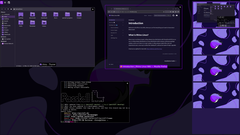 Rhino Linux 2026.1 obsługuje Lomiri na komputerach stacjonarnych i urządzeniach mobilnych