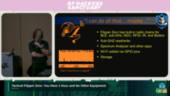 Grey Fox prezentujący na DEFCON 33 (Źródło obrazu: RF Hackers Sanctuary)