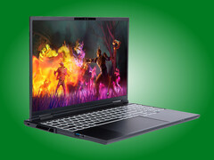 Adder Pro jest wyposażony w wyświetlacz OLED o częstotliwości odświeżania 165 Hz i proporcjach 16:10.
