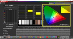 CalMAN ColorChecker (profil: sRGB, docelowa przestrzeń kolorów: sRGB)