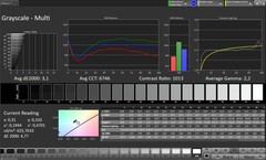 Skala szarości (profil: Original Pro, docelowa przestrzeń kolorów: sRGB)