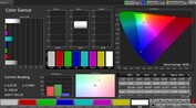 CalMAN przestrzeń kolorów sRGB - wyświetlanie wewnętrzne