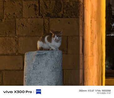 Vivo X300 Pro 200 mm bez telekonwertera.