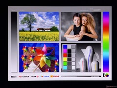 Szerokie kąty widzenia OLED