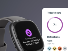 Po 8 lipca klienci Fitbit będą musieli korzystać z aplikacji Fitbit. (Źródło zdjęcia: Fitbit)