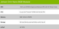 Nano 8GB. (Źródło obrazu: Nvidia)