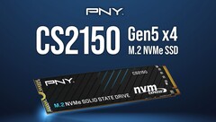 CS2150. (Źródło obrazu: PNY)