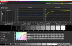 Skala szarości (skalibrowana)