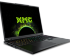 Przeskok generacyjny między mobilnym RTX 4080 a mobilnym RTX 5080 jest tam, gdzie spodziewamy się, że będzie bez żadnych funkcji skalowania DLSS (źródło obrazu: Schenker)