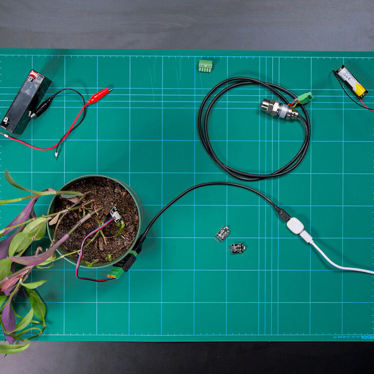 The Pill autorstwa Shelly (źródło zdjęcia: Shelly)