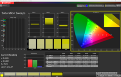 CalMAN Saturation Sweeps (po kalibracji)