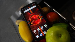 Rekin 3. (Źródło obrazu: 8849)