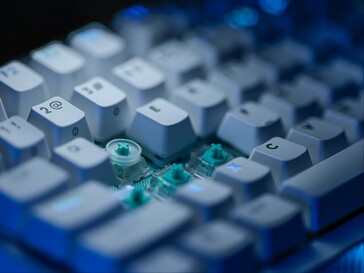 Pierścień SAPP zamontowany na przełączniku.