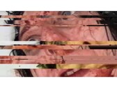 Zrzut ekranu z horroru VILE: Exhumed, przedstawiający zatrzymany i uszkodzony film VHS przedstawiający kobietę (Źródło obrazu: DreadXP/Final Girl Games)