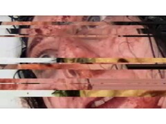 Zrzut ekranu z horroru VILE: Exhumed, przedstawiający zatrzymany i uszkodzony film VHS przedstawiający kobietę (Źródło obrazu: DreadXP/Final Girl Games)