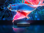 Hisense PL1 4K Smart Laser Cinema ma jasność do 2200 ANSI lumenów. (Źródło obrazu: Hisense)