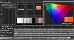 CalMAN: ColorChecker (skalibrowany)