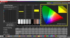 Calman ColorChecker (profil: P3, docelowa przestrzeń kolorów: P3)