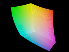 Przestrzeń kolorów sRGB jest pokryta w 100 procentach