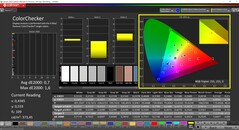 CalMAN ColorChecker skalibrowany (profil: P3, docelowa przestrzeń kolorów: P3)