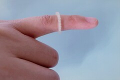 wydrukowany w 3D pierścień odstraszający owady opracowany przez Uniwersytet Marcina Lutra w Halle-Wittenberdze (źródło zdjęcia: Uni Halle / Fanfan Du)