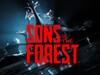 Recenzja Sons of the Forest: Benchmarki laptopa i desktopa