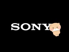 Bezsenny niedźwiedź Nemu ma pomóc firmie Sony w budowaniu marki postaci odnoszącej sukcesy na arenie międzynarodowej.