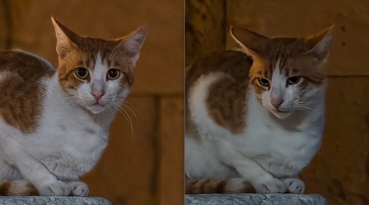 Po lewej: Z telekonwerterem przy 200 mm. Po prawej: Bez telekonwertera.