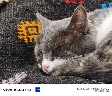 Vivo X300 Pro 400 mm bez telekonwertera.