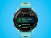 Seria Forerunner 265 dostępna jest w dwóch rozmiarach. (Źródło zdjęć: Garmin)