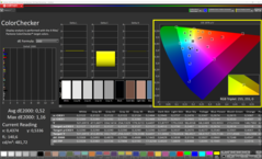 CalMAN - ColorChecker (skalibrowany)