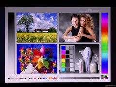 Szerokie kąty widzenia OLED