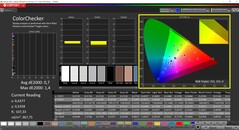 Kalibracja CalMAN ColorChecker (przestrzeń docelowa kolorów DCI-P3)