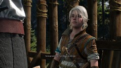 Na stronie Witcher 3