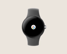 Aplikacja Google Home na zegarku Pixel Watch. (Źródło: Google)
