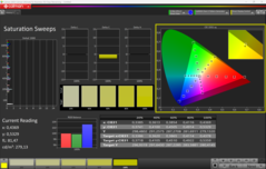 Nasycenie CalMAN (P3)