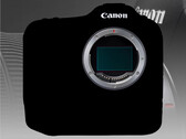 Chociaż pojawiło się wiele przecieków na temat Canon EOS R1, dokładna specyfikacja wciąż pozostaje tajemnicą. (Źródło obrazu: Canon - edytowane)