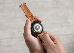 Samsung wprowadził nowe rodzaje pasków do zegarków wraz z serią Galaxy Watch6. (Źródło obrazu: Samsung)