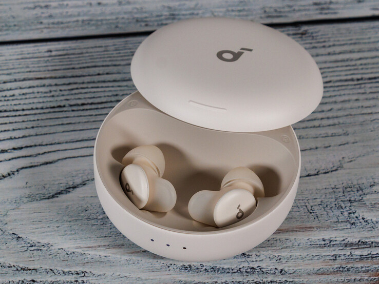 (Źródło zdjęcia: Daniel Schmidt)