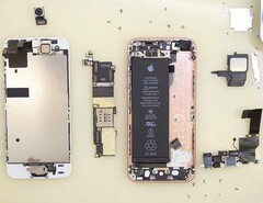 Apple rozbiórka iPhone&#039;a SE (Źródło: Vrm24)