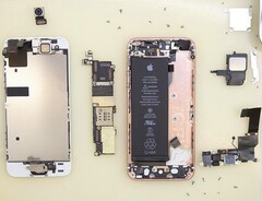 Apple rozbiórka iPhone'a SE (Źródło: Vrm24)