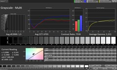 Skale szarości (profil: Original Pro, docelowa przestrzeń kolorów: sRGB)