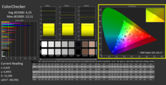 CalMan ColorChecker skalibrowany