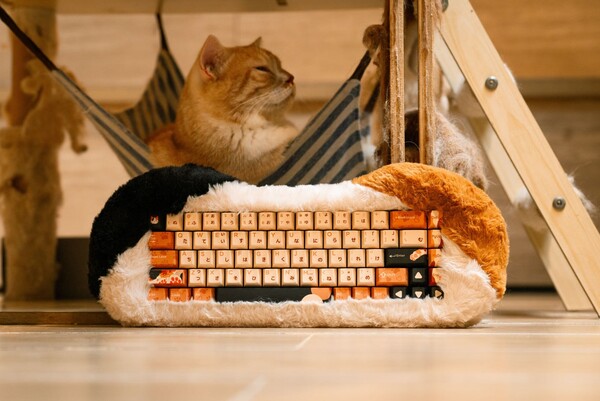 Petbrick 65 ma nakładki na klawisze z motywem kota. (Źródło zdjęcia: Dry Studio)