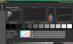 Skala szarości przed kalibracją