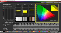 CalMAN ColorChecker (profil: P3 Photography, docelowa przestrzeń kolorów: P3)